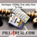 Kamagra 100Mg Oral Jelly How To Use 11